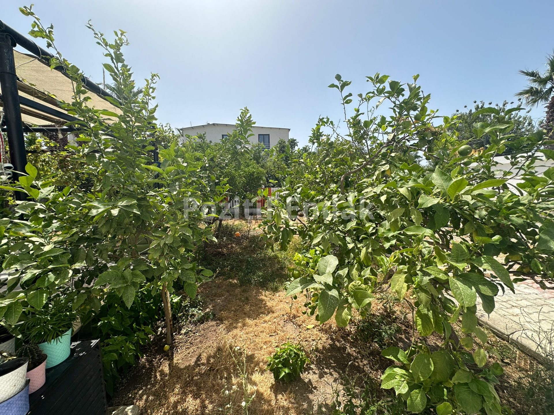 Yalıkavak Merkezde 3+1 Müstakil Villa